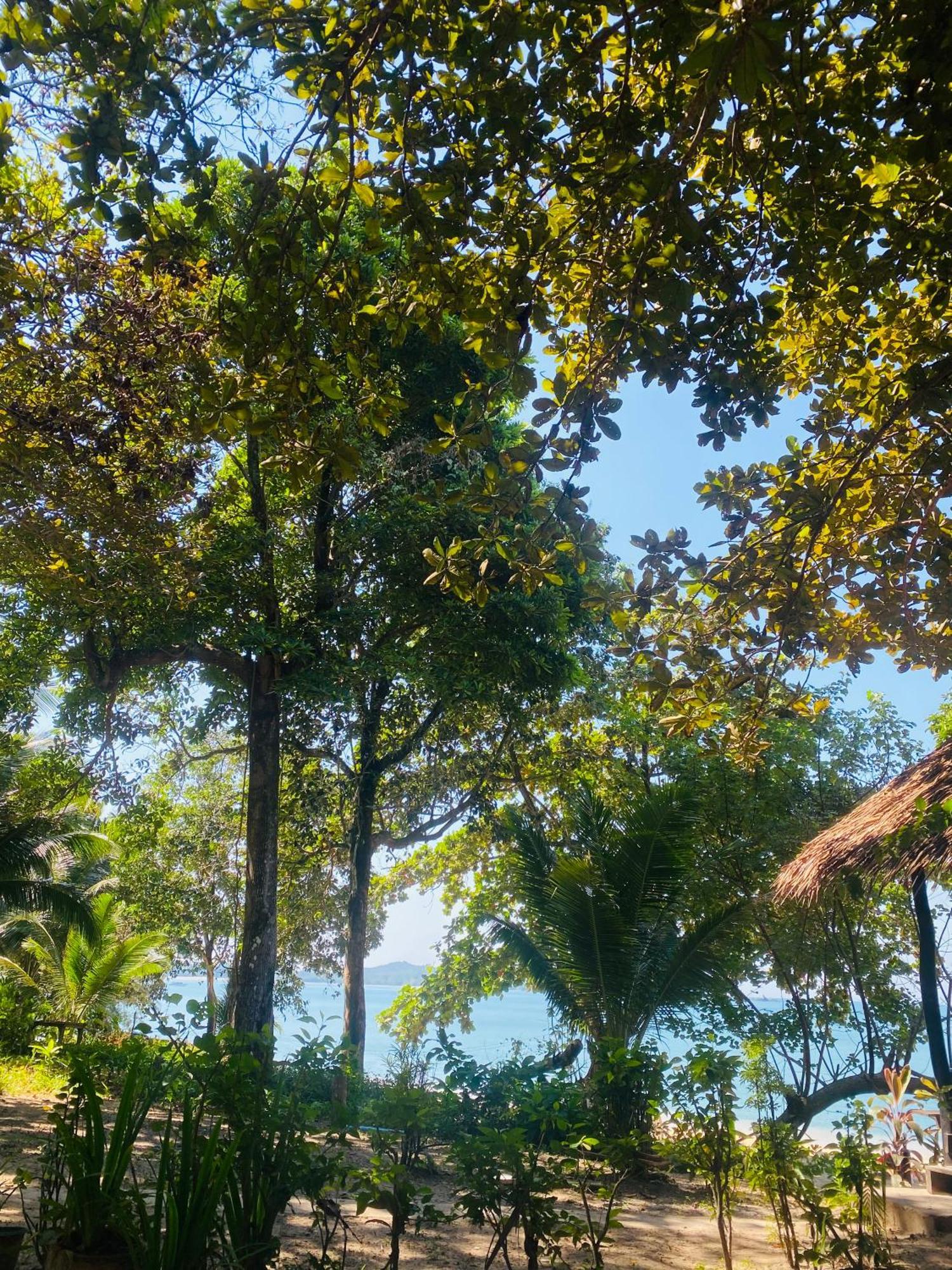 Banana Resort Koh Phayam Exterior photo